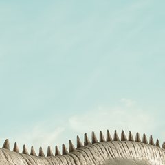 Agra picture
